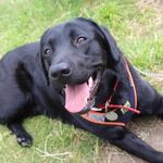 Matthew Large - @large_matthew - Instagram