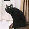 Matthew Larger - @matthewlarger - TikTok