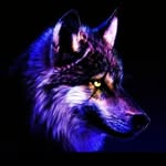 Matthew Leitner - @matthewlarocque - Instagram