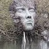 Matt Lashley - @matt.lashley11 - TikTok