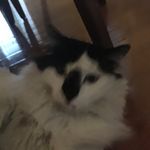 Matthew Layden - @matt_soccerkid - Instagram