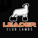 Matthew Leader - @leaderclublambs - Instagram