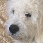 Matthew Leader - @matthew_leader - Instagram