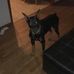 Matthew Leffert - Facebook