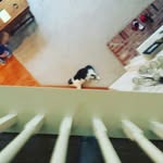 Matthew Leffel - @leffel27baseball - Instagram