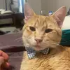 Matthew Leibel - @matthewleibel - TikTok