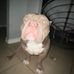 Matthew Leija - Facebook