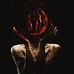Matthew LeValley - Facebook
