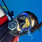 Matthew Lever - Facebook