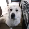 Matthew Leyva - @matthew.leyva6 - TikTok