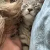 ❤️ - @matthew.liner - TikTok