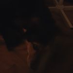 matthewloiselle - @matthewloiselle9 - Instagram