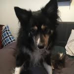 @MatthewLothrop@ - @_matt.lothrop_ - Instagram