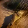 Matthew Luciani - @matthewluciani__ - TikTok