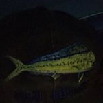 Matthew Luckett - @matthew.luckett - Instagram