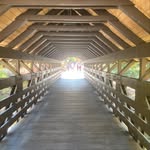 Matthew Lebowitz - @matthewlucy - Instagram