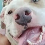 Matthew Lupercio - @matthew_lupercio16 - Instagram