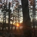 Matthew lussier - @porkpie6130 - Instagram