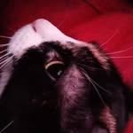 Ein-Matthew Luster - @einmatthewluster - Instagram