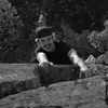 matthew.luty - @matthew.luty - TikTok
