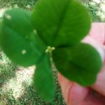 Matthew Lytle - @lytle5001 - Instagram
