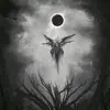 matthew_mancuso - @matthew_mancuso - TikTok
