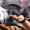 matthewmandarro - @matthewmandarro - TikTok