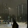 Matthew Mango - @matthew.mango - TikTok