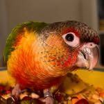 @matthew_mango_friends - Instagram