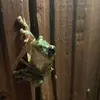 Matt Mannor - @matthewmannor - TikTok