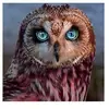 Matthew Mannon - @matthewmannon - TikTok