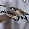 user5703474446124 - @matthewmans9 - TikTok