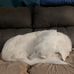 Matthew Marciniak - Facebook
