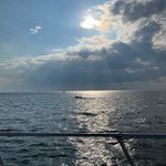 Matthew James Maresca - @matthew_maresca - Instagram