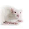 Matthew Masek - @matthew.masek - TikTok