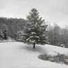 Mason Matthews - @mason.matthews8 - TikTok