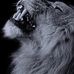 Matthew Mason - Facebook