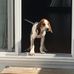 Matthew Matherly - Facebook