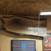 Matthew Matson - @shadytreegaragewest - TikTok