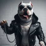 Matthew Matt - @mountain.bullies - Instagram