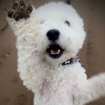 Matthew Matt Matty Walton - @teddybearwalton - Instagram