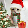 🎅🎄MatthewMaybe🎄🎅 - @matthewnmaybe - TikTok