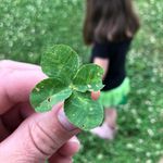 Matthew McAvoy - @mcavoy987 - Instagram