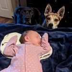 Matthew McCraw - @mccraw_m - Instagram