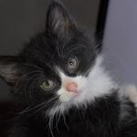 Matthew McElwee - @mcelweematthew - Instagram