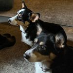Matthew McLarty - @matthewmclartysd - Instagram