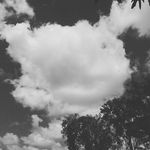 matthew - @matthew_mcmurray123 - Instagram