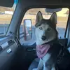 matthewmcmurray41 - @matthewmcmurray41 - TikTok