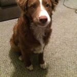 Matthew McNeill - @matthew.mcneill.33 - Instagram