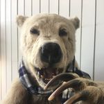 Matthew McPhee - @matthew.mcphee - Instagram